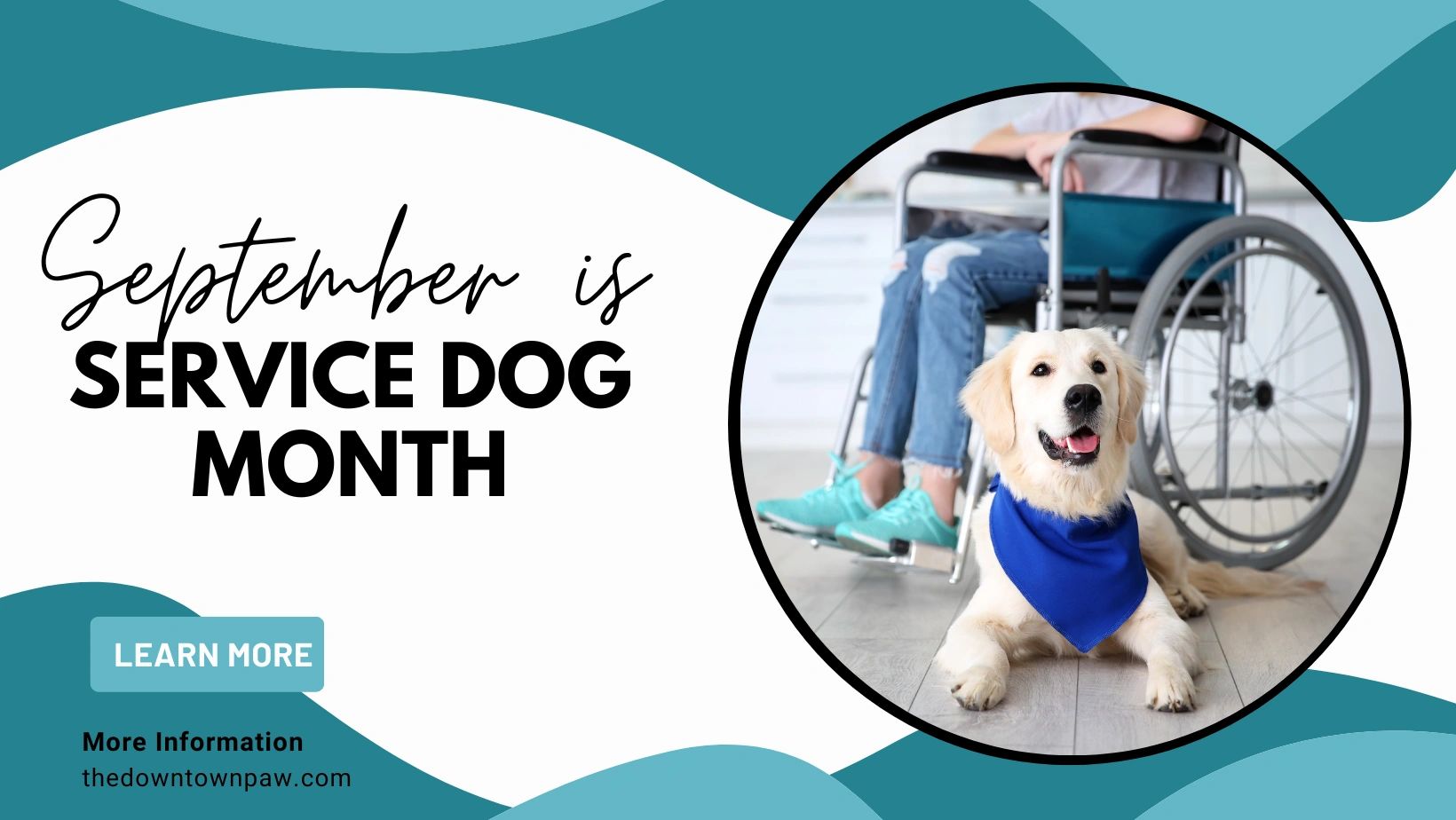 The Downtown Paw Dog Daycare & Grooming Malden, Massachusetts